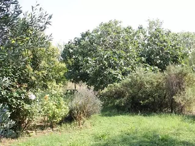 Achat maisons Castelnaudary 4 pièces