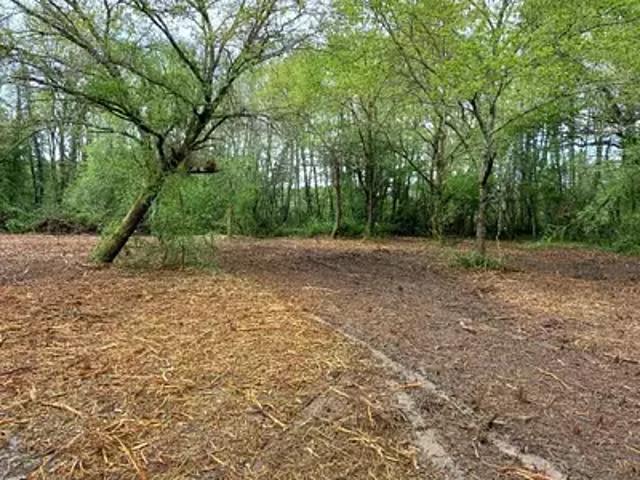 Achat maisons Cestas 4 pièces