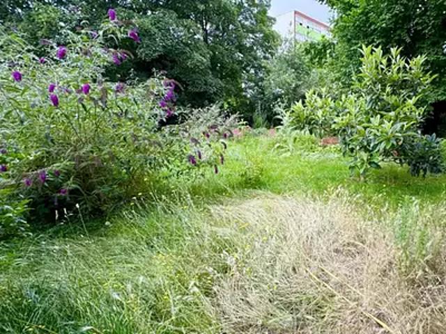 Achat maisons Chanteau 5 pièces