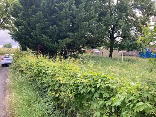 Achat maisons Chaniers 4 pièces