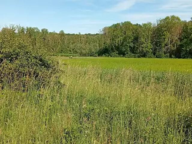 Achat maisons Charbuy 4 pièces