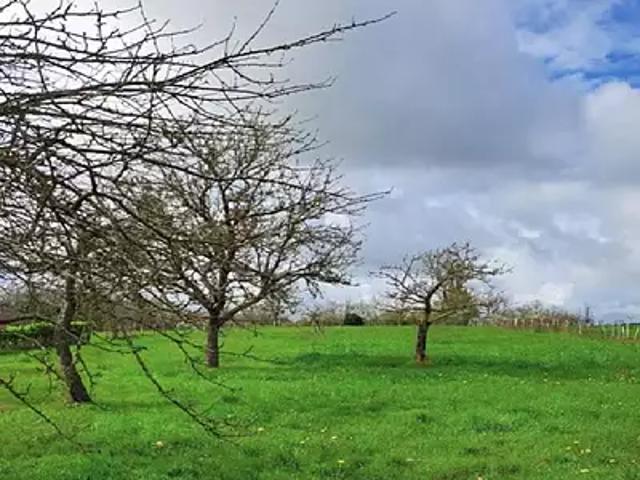 Achat maisons Châtellerault 3 pièces