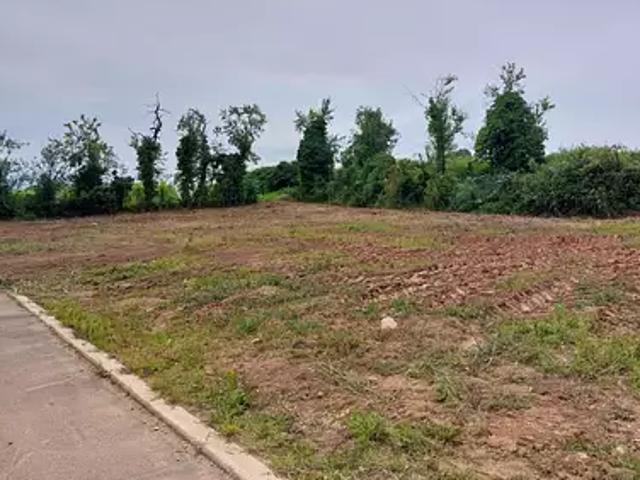 Achat maisons Châtenois