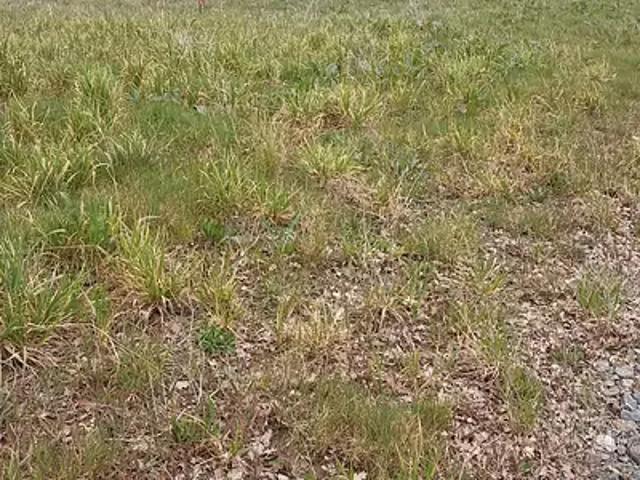 Achat maisons Chavagnes en Paillers 3 pièces