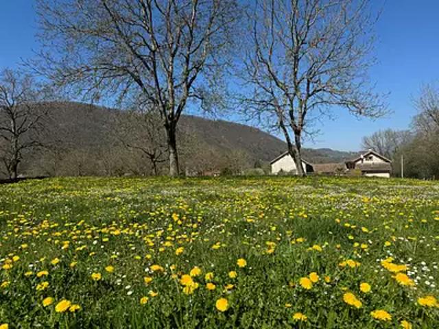 Achat maisons Chirens 4 pièces