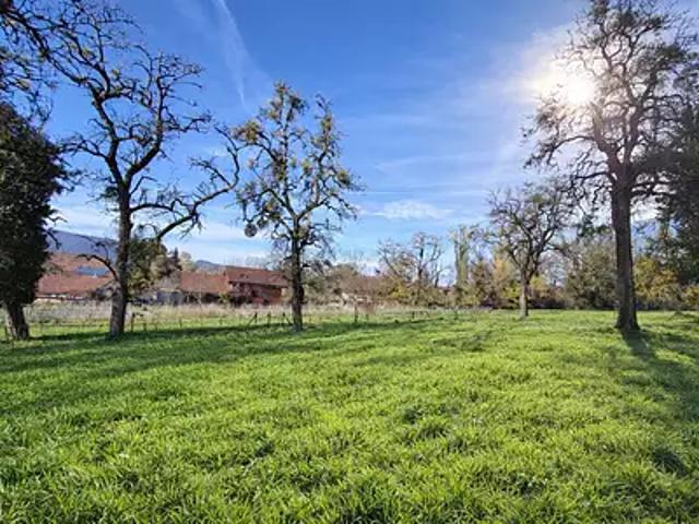 Achat maisons Contamine sur Arve 4 pièces