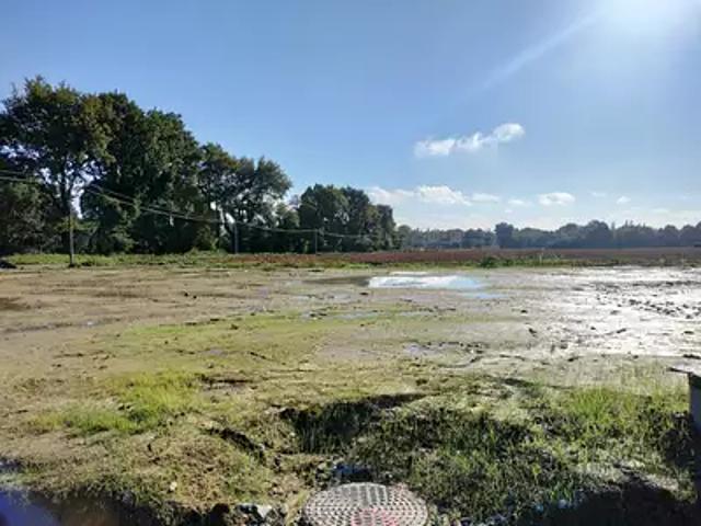 Achat maisons Domagné 5 pièces