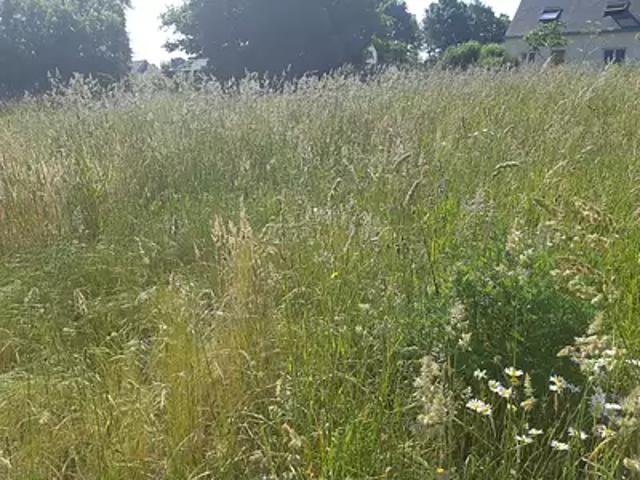 Achat maisons Drefféac 3 pièces