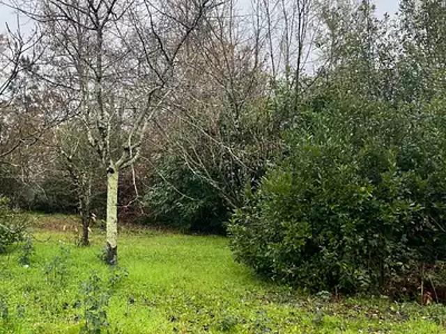 Achat maisons Eysines 3 pièces