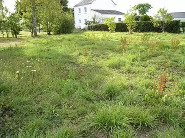 Achat maisons Férel 3 pièces