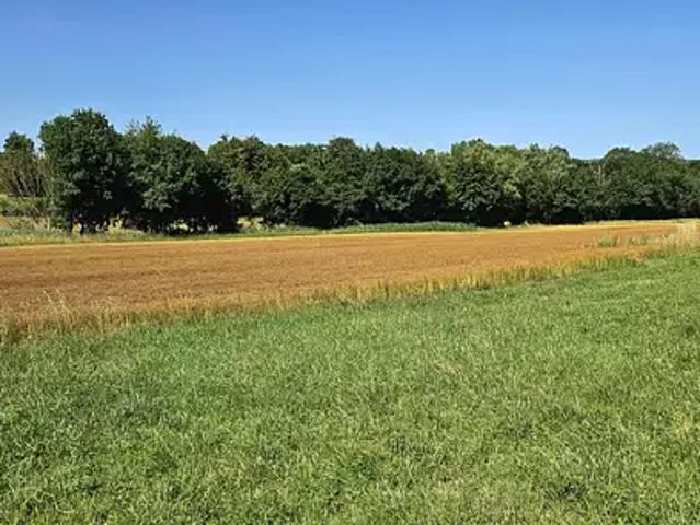 Achat maisons Fleurville 6 pièces