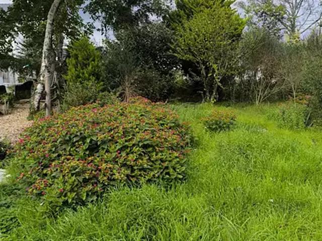 Achat maisons Guenrouet 5 pièces