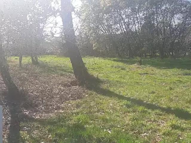 Achat maisons Gujan Mestras 5 pièces