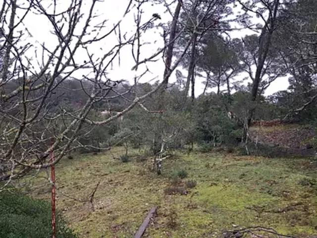 Achat maisons Garéoult 3 pièces