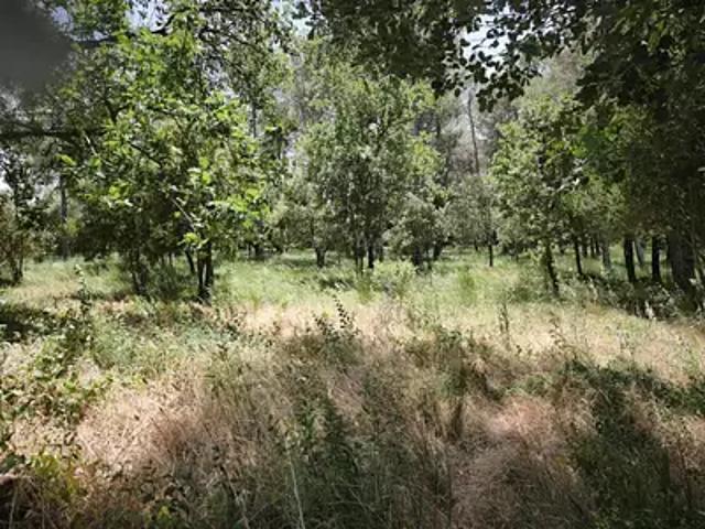 Achat maisons Garéoult 4 pièces
