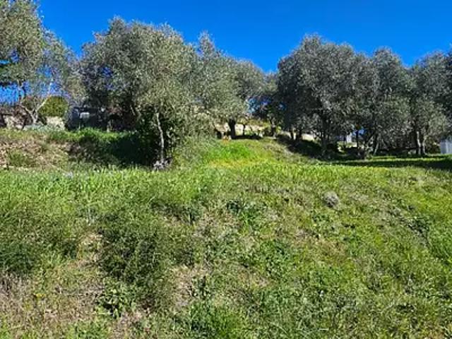 Achat maisons Grasse 5 pièces