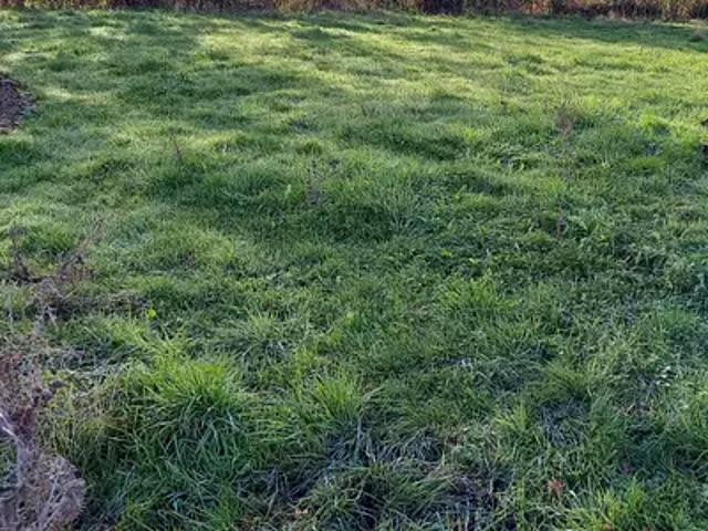 Achat maisons Grosbreuil 4 pièces
