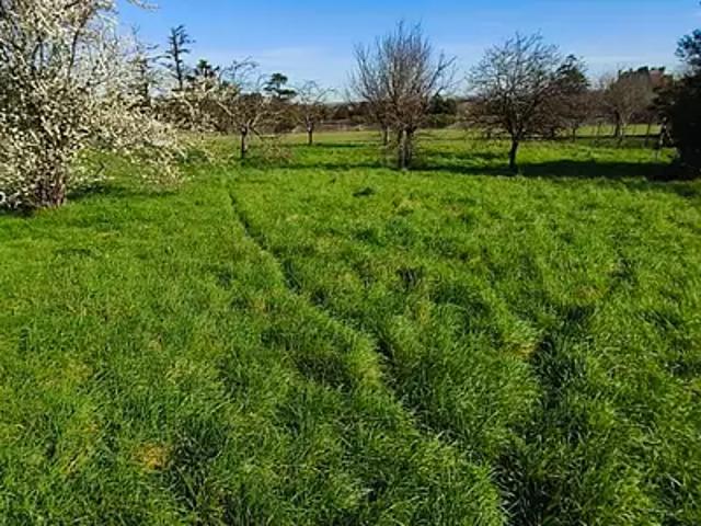 Achat maisons Houlette 4 pièces