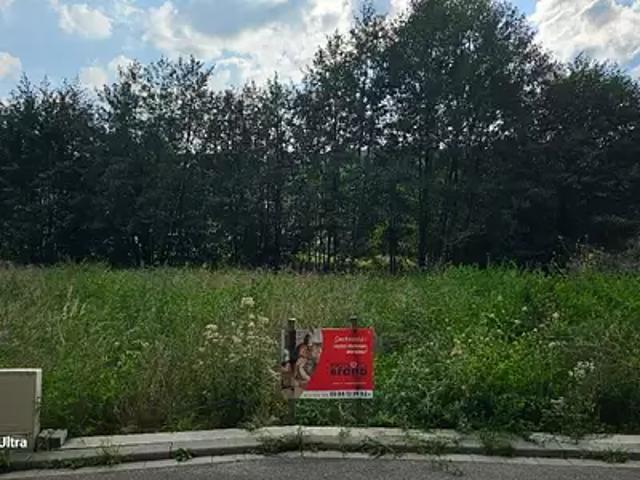 Achat maisons Lutzelhouse 6 pièces