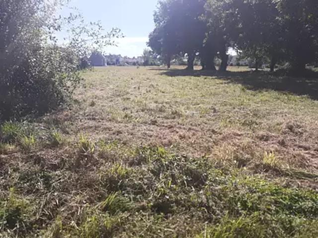 Achat maisons La Chapelle des Marais 5 pièces