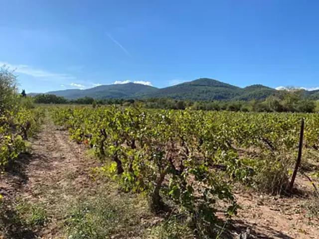 Achat maisons Le Castellet 6 pièces