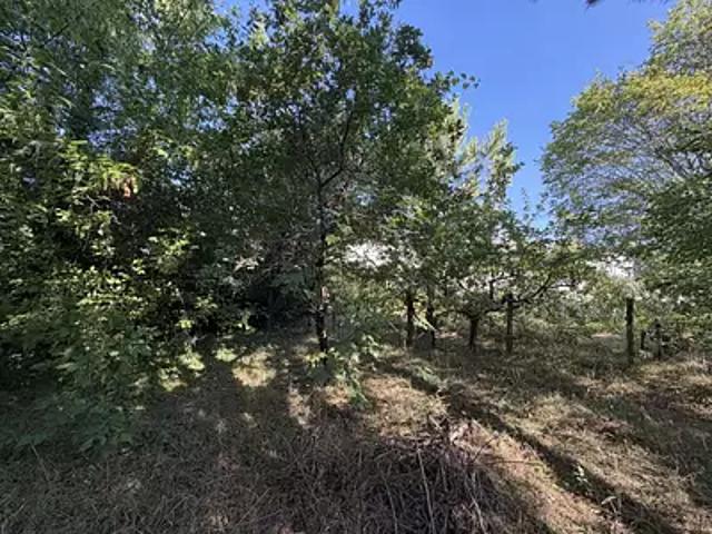 Achat maisons Le Taillan Médoc 4 pièces
