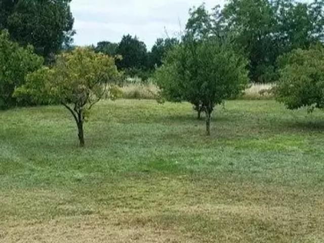 Achat maisons Les Bois d'Anjou 4 pièces