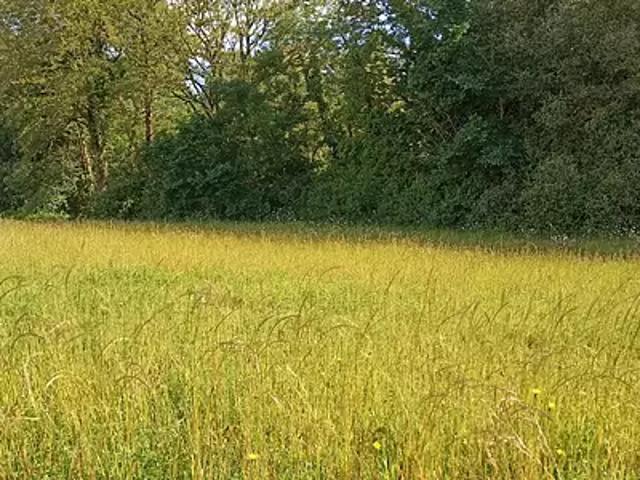 Achat maisons Les Brouzils 5 pièces