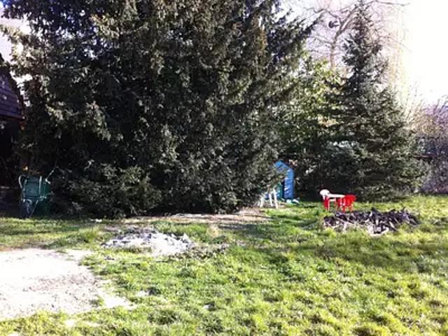 Achat maisons L'Etang la Ville 5 pièces