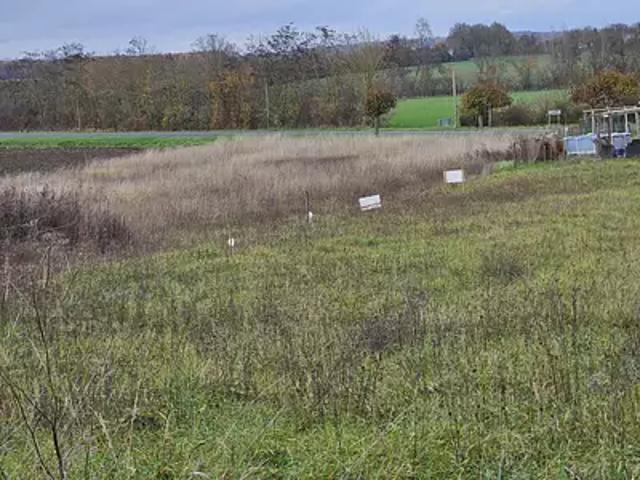 Achat maisons Louresse Rochemenier 3 pièces