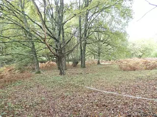 Achat maisons Panazol 3 pièces