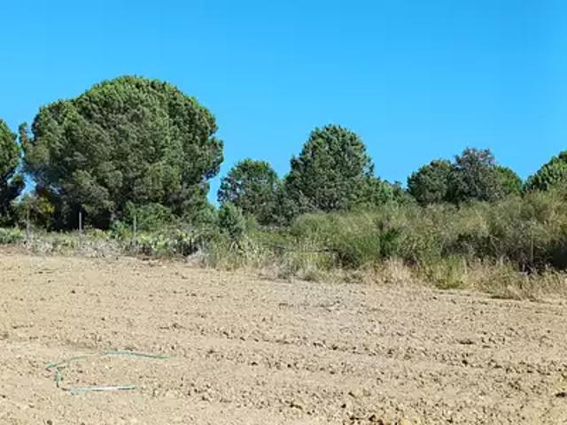 Achat maisons Pollestres 3 pièces