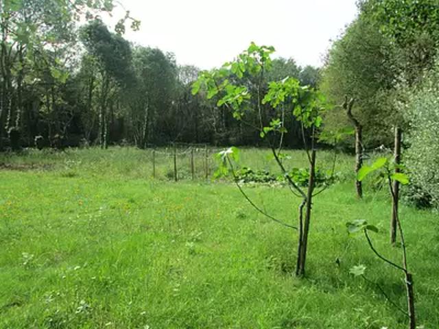 Achat maisons Pontchâteau 5 pièces