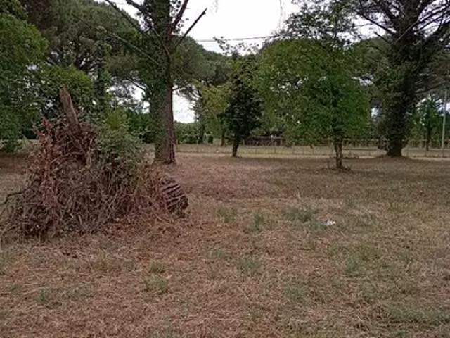 Achat maisons Saint Macaire 4 pièces
