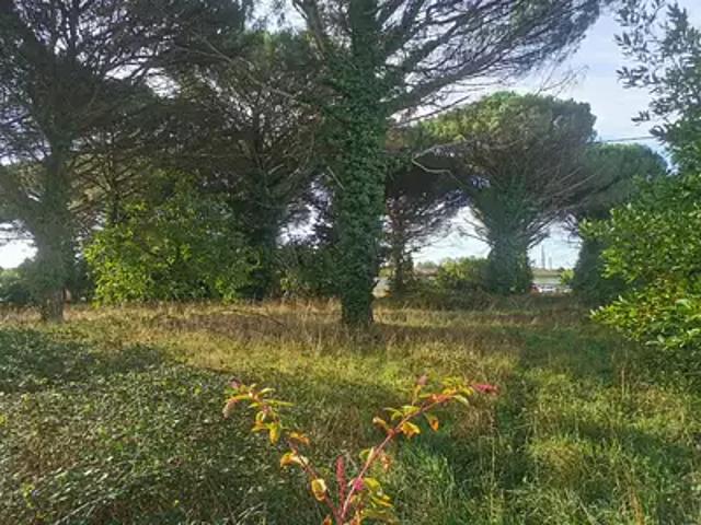 Achat maisons Saint Maixant 3 pièces