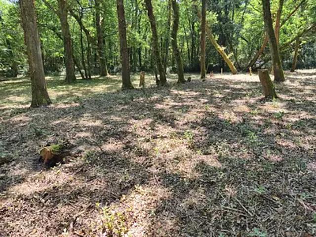 Achat maisons Saint Augustin 5 pièces