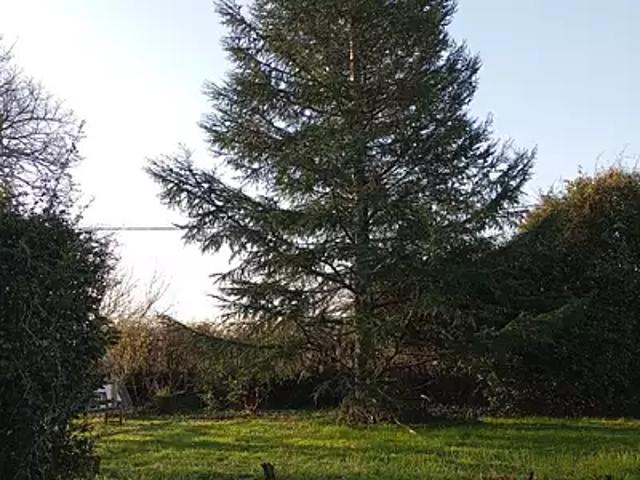 Achat maisons Saint Caprais de Bordeaux 5 pièces
