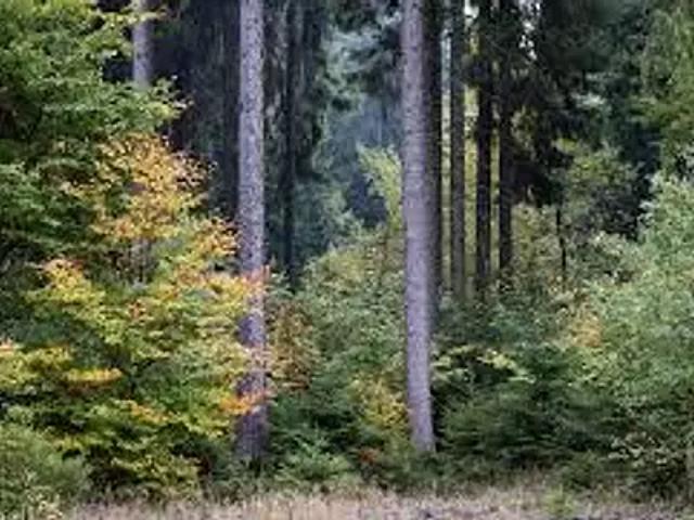 Achat maisons Saint Hilaire la Forêt 4 pièces