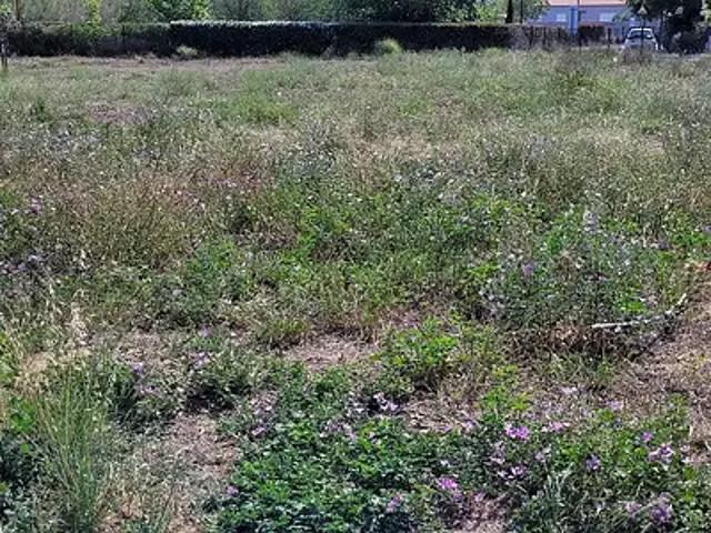 Achat maisons Saint Jean Pla de Corts 5 pièces