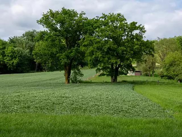 Achat maisons Saint Vivien de Blaye 4 pièces