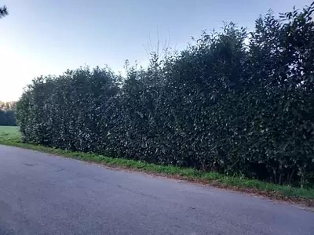 Achat maisons Sainte Anne sur Brivet 4 pièces