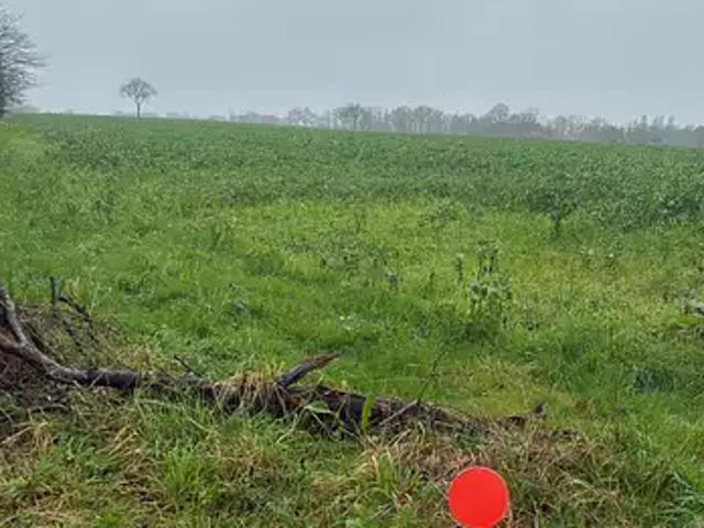 Achat maisons Sainte Reine de Bretagne 5 pièces