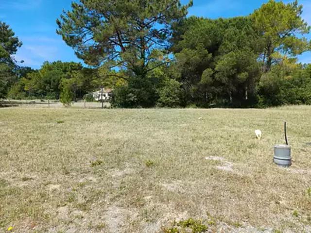 Achat maisons Sallertaine 5 pièces