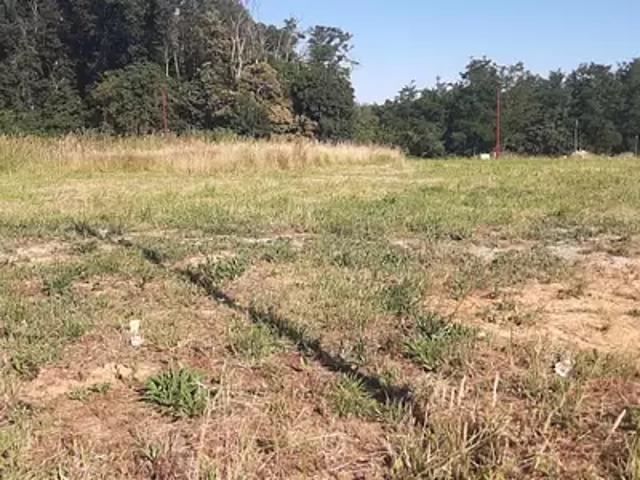 Achat maisons Sargé lès le Mans 5 pièces