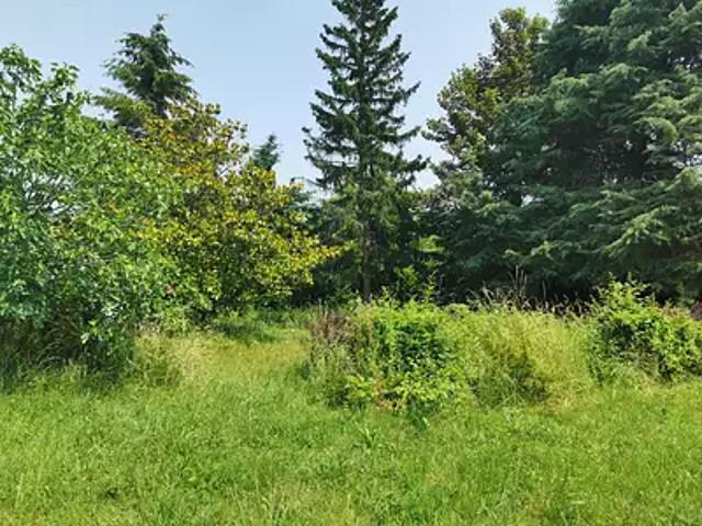 Achat maisons Savonnières 5 pièces