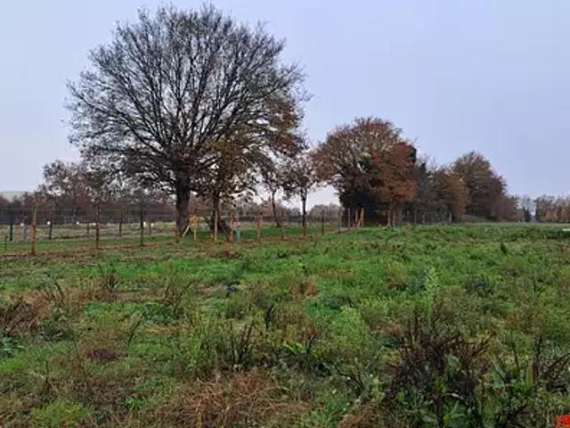 Achat maisons Segré en Anjou Bleu 5 pièces