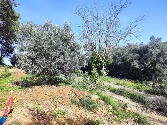 Achat maisons Solliès Toucas 5 pièces