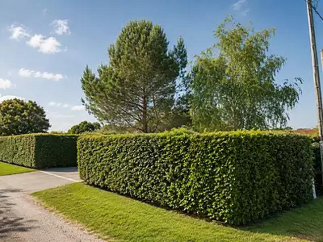 Achat maisons Soustons 4 pièces