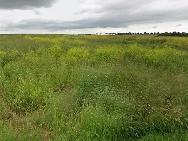 Achat maisons Tavers 5 pièces