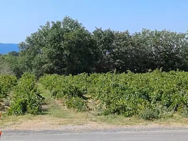 Achat maisons Théza 3 pièces